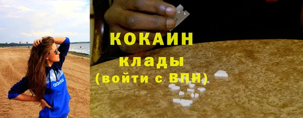 МДПВ Лиски