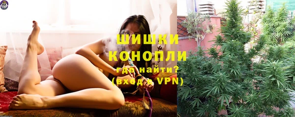 МДПВ Лиски