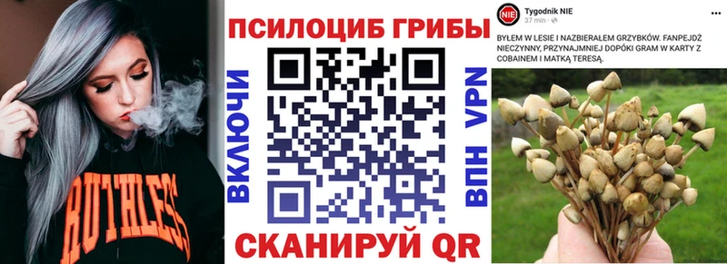 Псилоцибиновые грибы мицелий  площадка клад  Иноземцево 